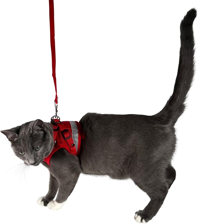 Travel Cat Harness and Leash Set - Image 8