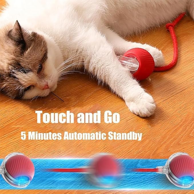 Valentines Day Gifts 2025 New Electric Dog Ball Toy, 360° Smart Automatic - Image 4
