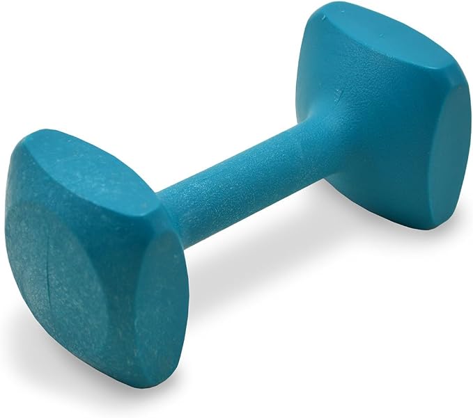 J&J Dog Supplies Obedience Retrieving Dumbbell by Unknown
