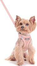 rabbitgoo Dog Harness Small Sized and Leash Set, Step in Soft Light Puppy Vest by rabbitgoo