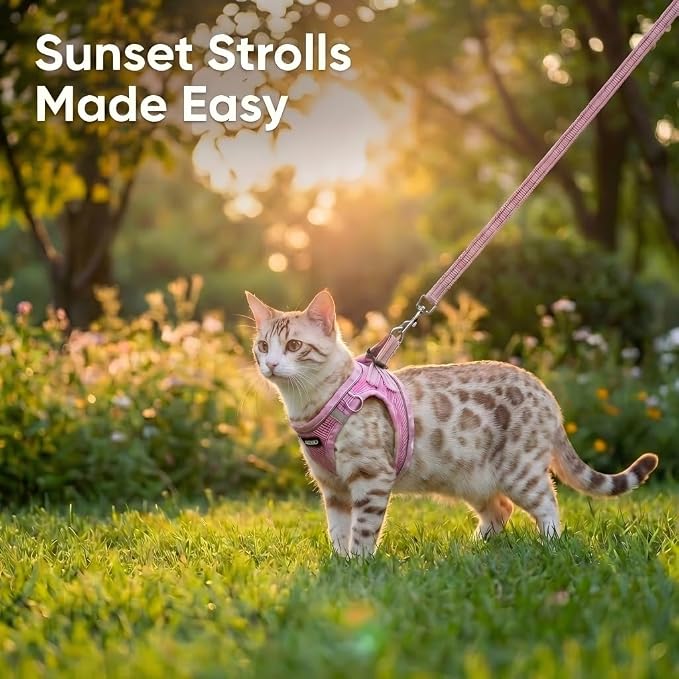 Cat Harness and Leash Set for Walking, Escape Proof Adjustable Soft Mesh Kitten - Image 8