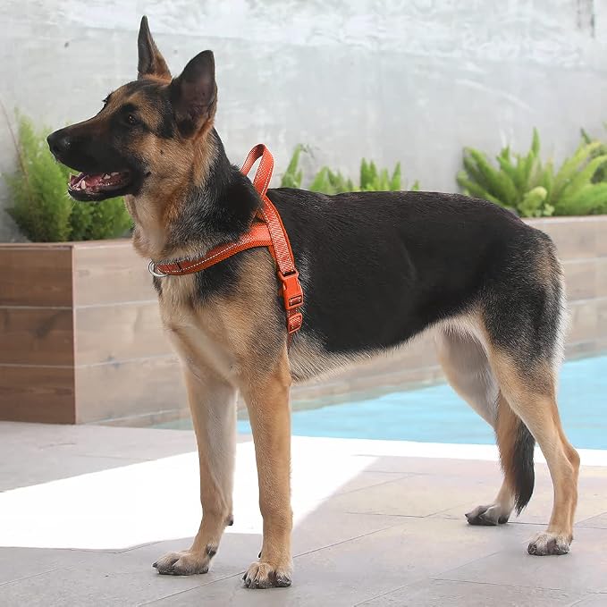 Plutus Pet No Pull Dog Harness - Image 5
