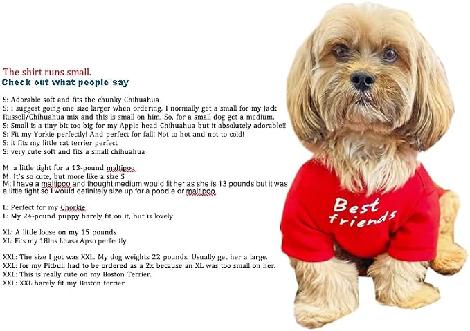 Cute Dog Clothes, Dog T Shirt for Girl/Boy Medium and Small Dogs, - Image 3