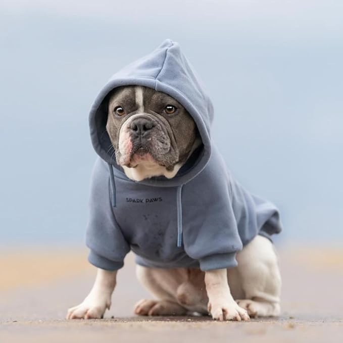 Spark Paws Dog Hoodie – Premium Dog Sweater - Image 3