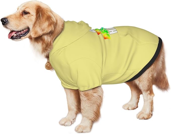 Personalized Dog Hoodie, Custom Dog Sweatshirt - Image 3