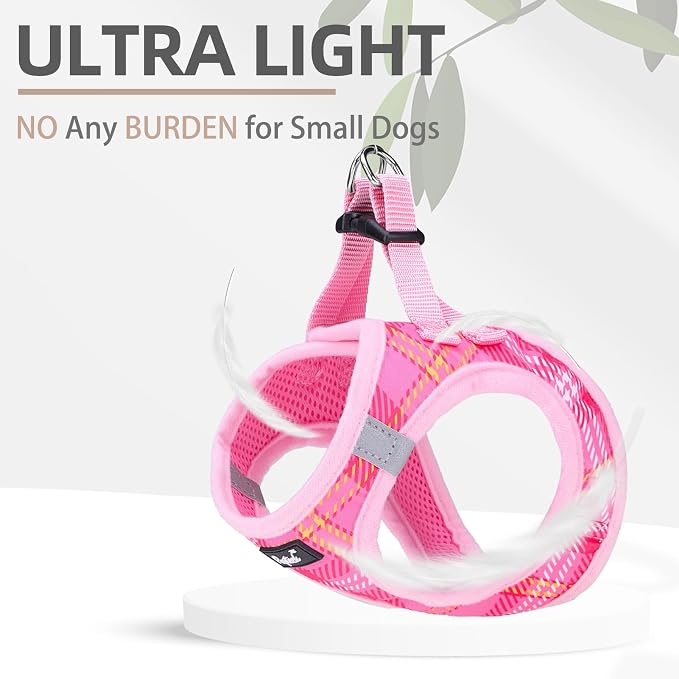 PUPTECK Dog Harness and Leash Set - Image 5