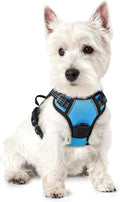 rabbitgoo Dog Harness No Pull by rabbitgoo
