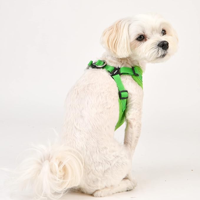 Puppia Dog Harness Comfort Mesh Step-in All Season No Pull No Choke Walking - Image 5