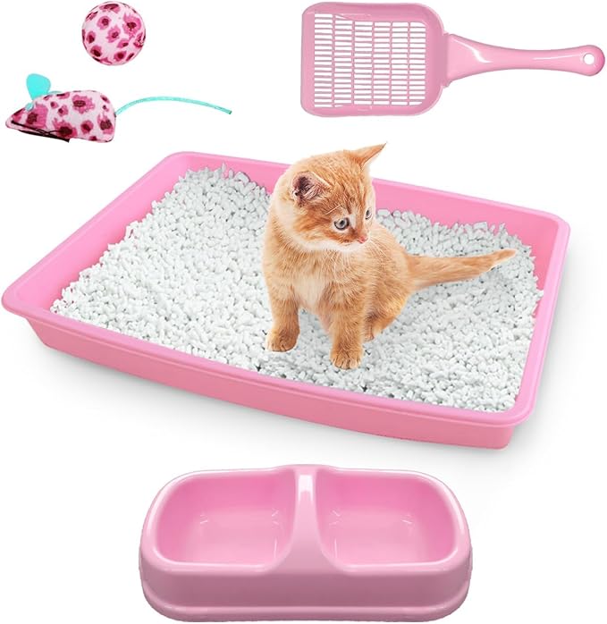 PAWISE Cat Litter Box Set, Small Kitten Starter Kit, Includes Litter Box by PAWISE