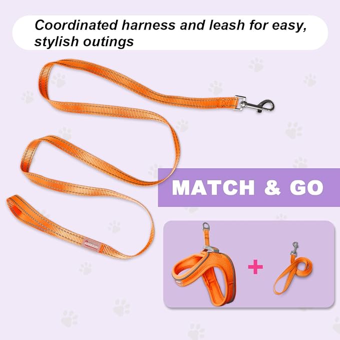 Cat Harness and Leash Set, Escape Proof Kitten Harness, Step in Adjustable Soft - Image 8