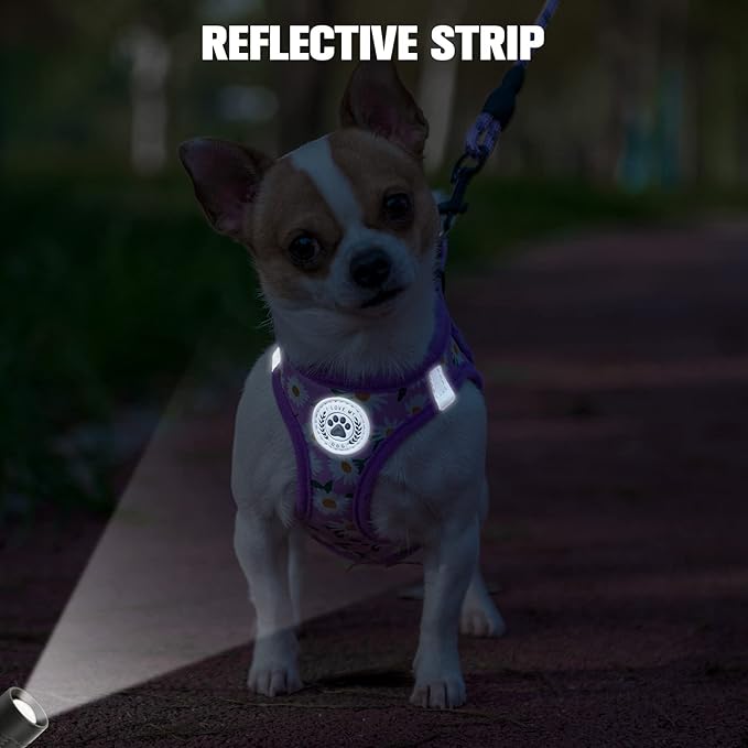 BEAUTYZOO Step in Dog Harness and Leash Set, Floral Pattern Reflective Dog - Image 6