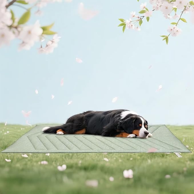 Cooling Mat for Dogs Ice Green, 150x102cm No Gel, Cool Fabric Top & Velvet Back by UniHome