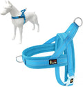Plutus Pet No Pull Dog Harness by PLUTUSPET
