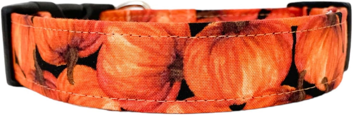 Orange Pumpkins Dog Collar by Collars+by+Design