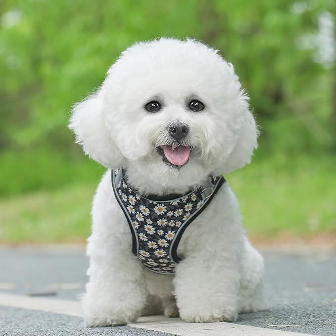 Step in Dog Harness and Leash Set, Flower Adjustable Easy Walk Puppy Harnesses - Image 6