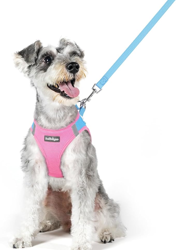 rabbitgoo Dog Harness Small Medium Sized and Leash Set, Step in Soft Light by rabbitgoo