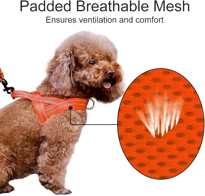 Plutus Pet No Pull Dog Harness - Image 3