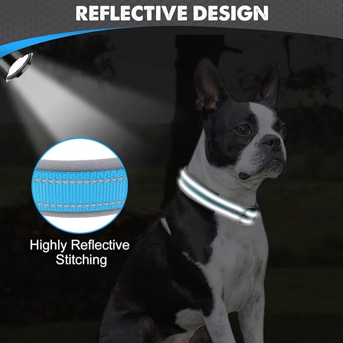Joytale Dog Collar for Medium Dogs, Neoprene Padded and Adjustable, Reflective - Image 4
