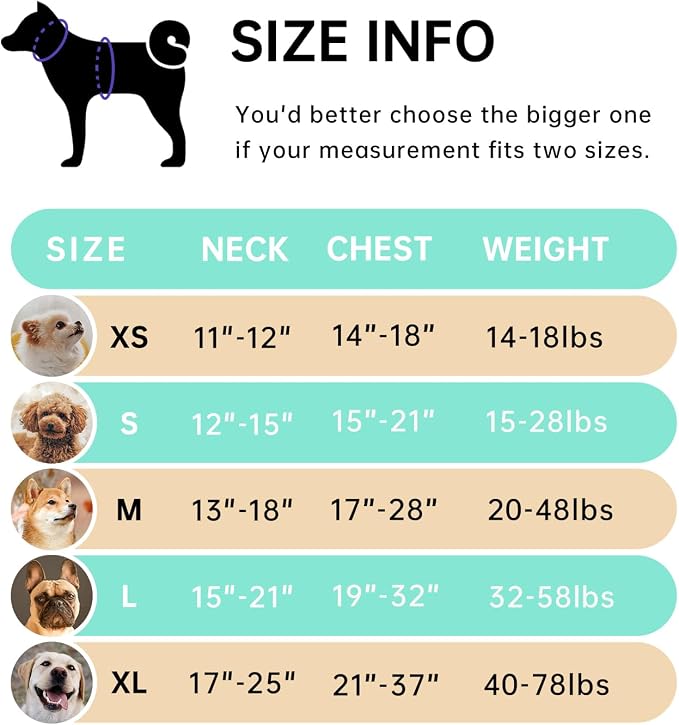 IVY&LANE No Pull Dog Harness - Image 2