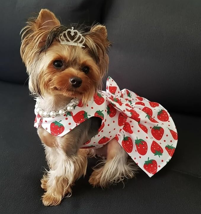 Dog Dress Bowknot Harness Leash Set - Image 2