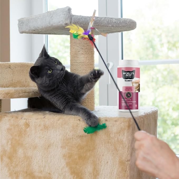 WORLD'S BEST CAT LITTER® Boosters™ Good Habits™ | Natural and Sustainable Cat - Image 5