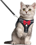 Cat Leash and Harness Set, Breathable Dog Harness, Pet Harness, Adjustable Mesh by WONNABUY