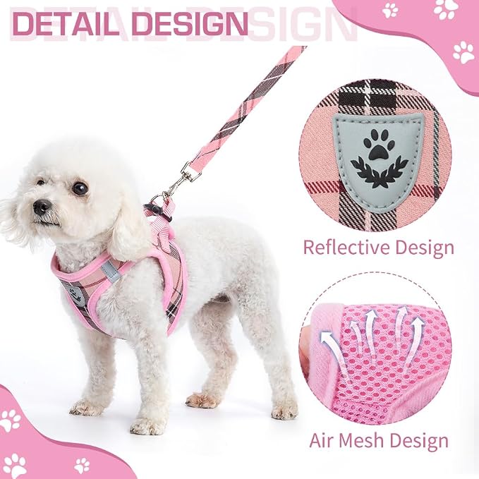 KOOLTAIL Dog Harness for Small Medium Dogs, Dog Harness and Leash Set, Step in - Image 5
