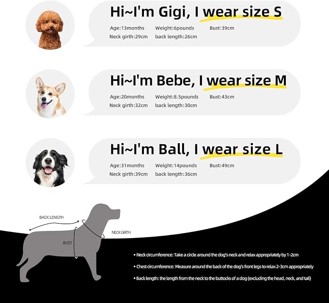 Detroit Dog Clothes Jersey Pet Jersey Customized Any Name & Number S-5XL - Image 6