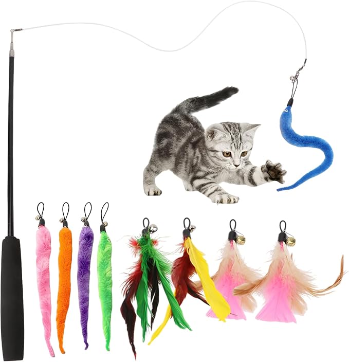 Hypeety Cat Toys for Indoor Cats Interactive Retractable Fishing Pole Wand by Hypeety