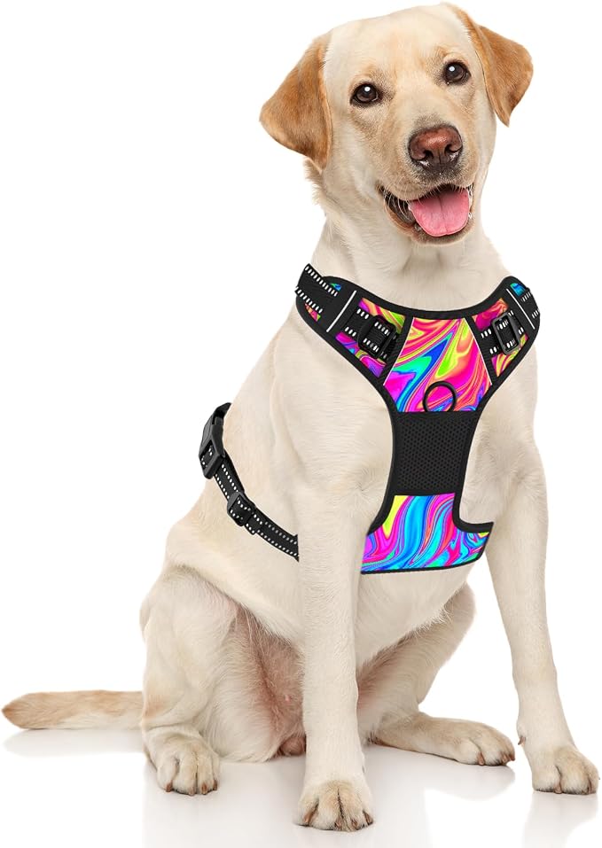 Rnivvi No Pull Dog Harness, Cute Reflective Large Sized Puppy Harness, - Image 2