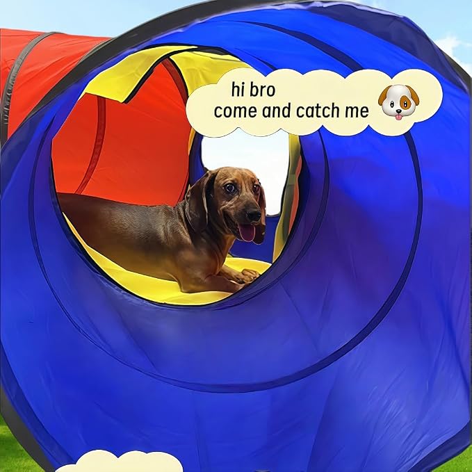 Dog Agility Tunnel for Small & Medium Dogs and Puppies – Durable Oxford Fabric - Image 3