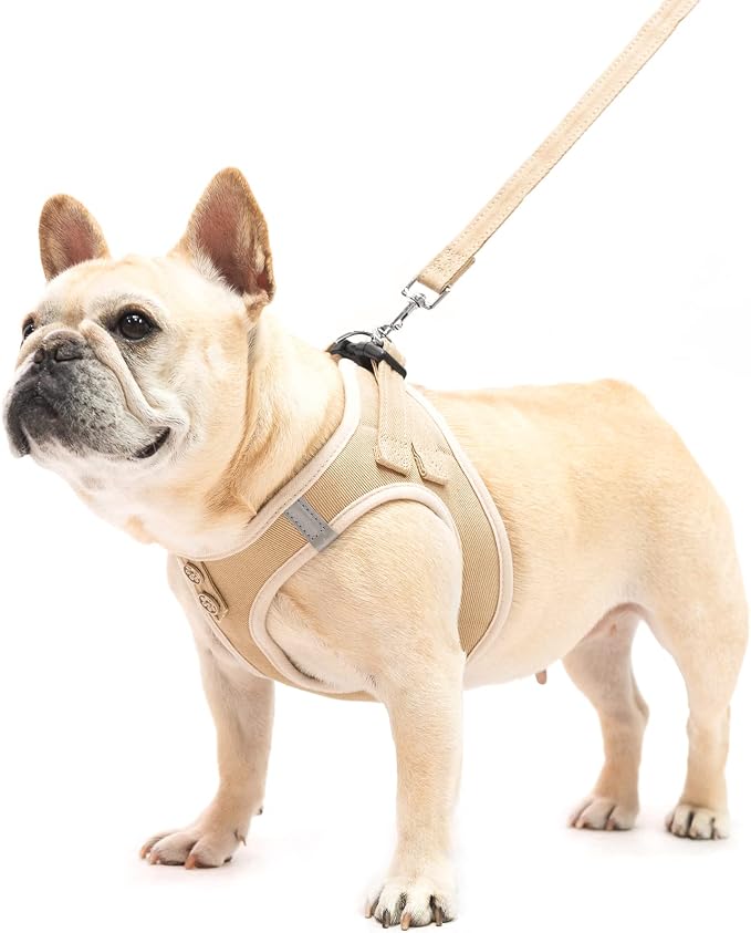 PUPTECK Dog Harness and Leash Set - Image 7