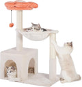 Flower Cat Tree 34" Scratching Post Small Cat Tower by Pawfessor