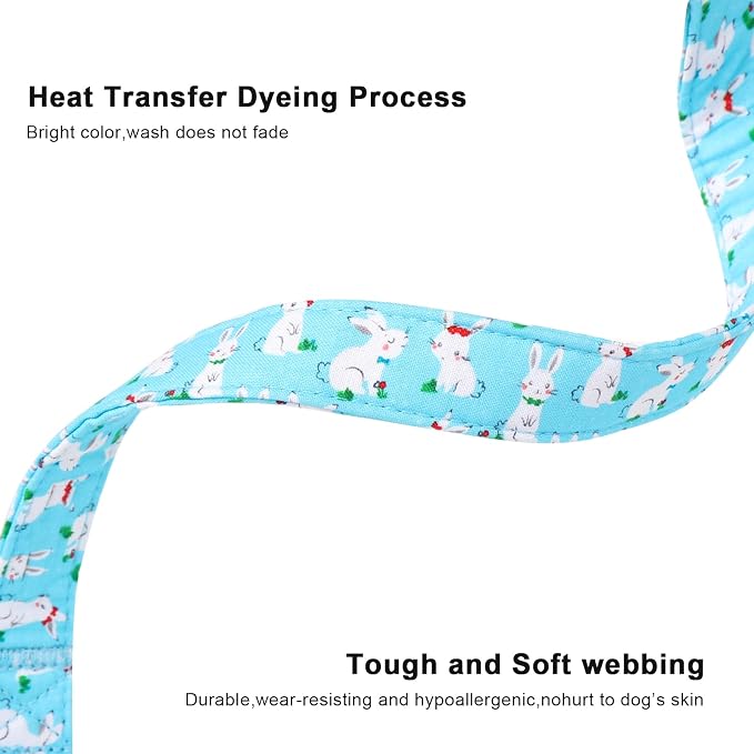 Lionet Paws Easter Dog Collar, Comfortable Adjustable Blue Rabbit Collar - Image 3