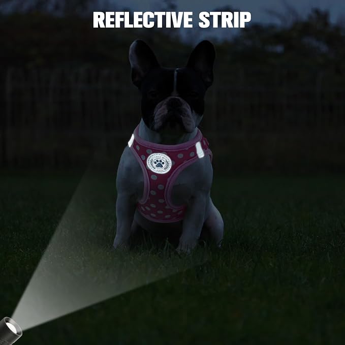 BEAUTYZOO Step in Dog Harness and Leash Set, Polka Dot Pattern Reflective Dog - Image 7