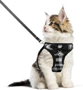 Cat Leashes and Harnesses for Walking, Breathable Soft Kittens Vest for Cats by WONNABUY