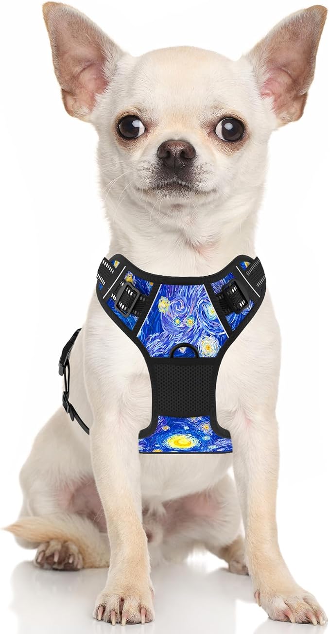 Rnivvi No Pull Dog Harness, Cute Reflective Small Sized Puppy Kitten Harness - Image 2