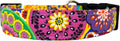 The Amara Floral Dog Collar) by Collars+by+Design