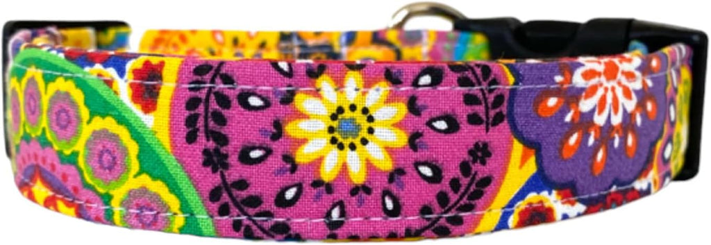 The Amara Floral Dog Collar) by Collars+by+Design