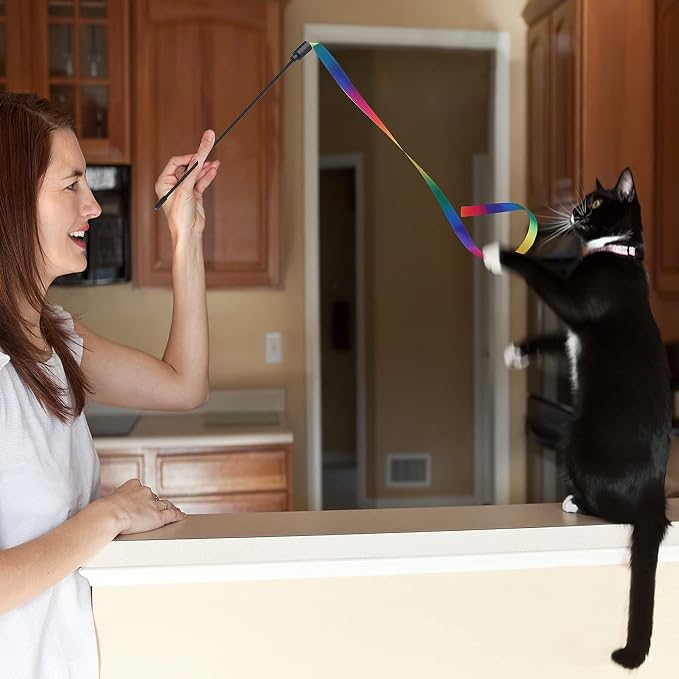 Cat Wand Interactive Toy, 5 Sets Colorful Fabric Ribbon Sticks, Indoor - Image 4