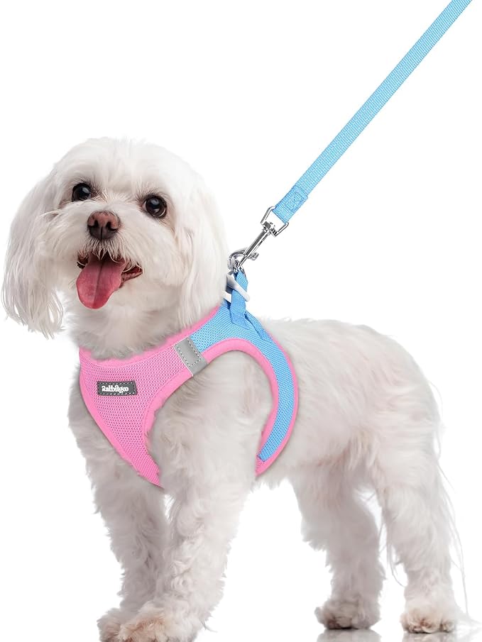 rabbitgoo Dog Harness Small Sized and Leash Set, Step in Soft Light Puppy Vest by rabbitgoo