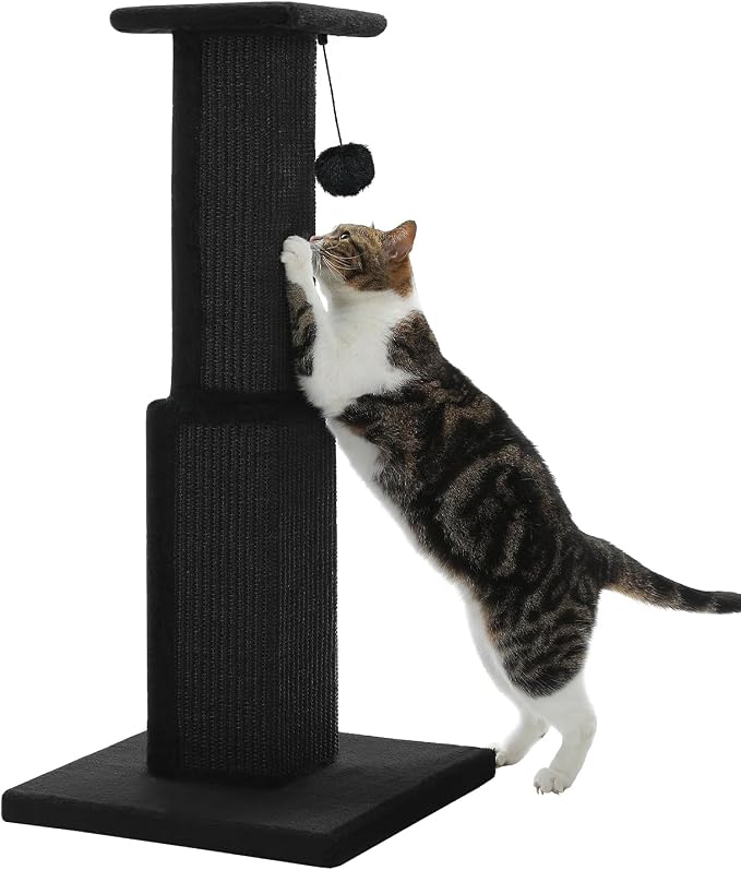 PAWZ Road Large Cat Scratching Post 32” Tall Black Scratching Post by PAWZRoad