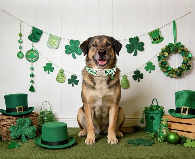 Lionet Paws St. Patrick Dog Collar- Cute Clover White Dog Collars - Image 3