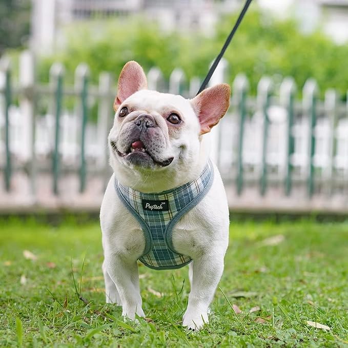 PUPTECK Soft Mesh Dog Harness and Leash Set Pet Puppy Cat Comfort Padded Vest - Image 6