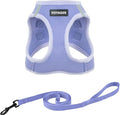Voyager Step-in Pet Harness by BestPetSuppliesLLC