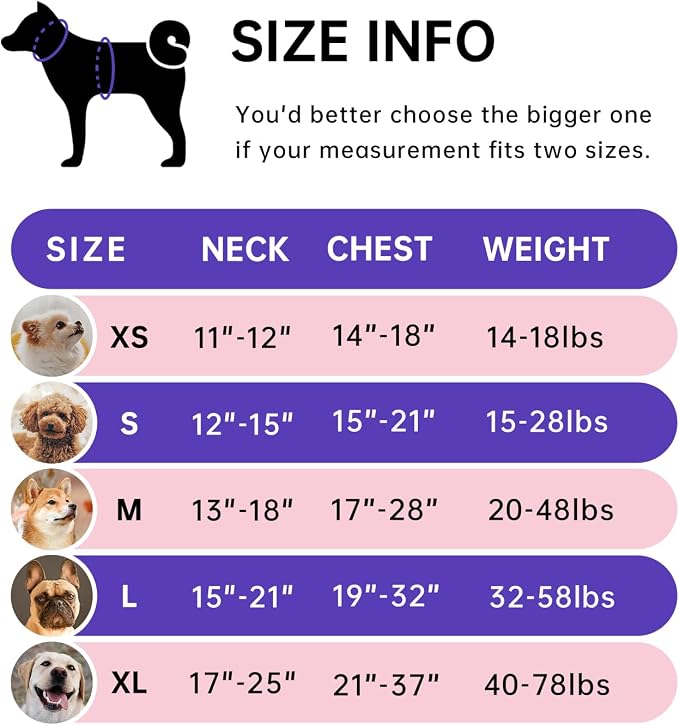 IVY&LANE No Pull Dog Harness for Small Dogs, Dog Vest Harness - Image 2