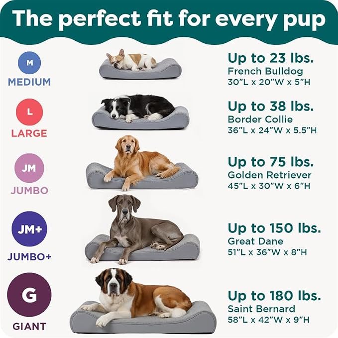 Furhaven Orthopedic Dog Bed for Large/Medium Dogs w/ Removable Washable Cover - Image 6