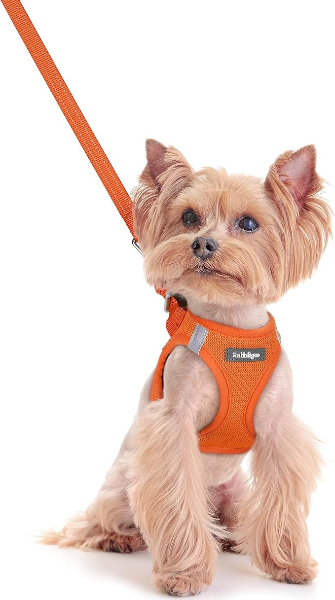rabbitgoo Dog Harness Small Sized and Leash Set, Step in Soft Light Puppy Vest by rabbitgoo