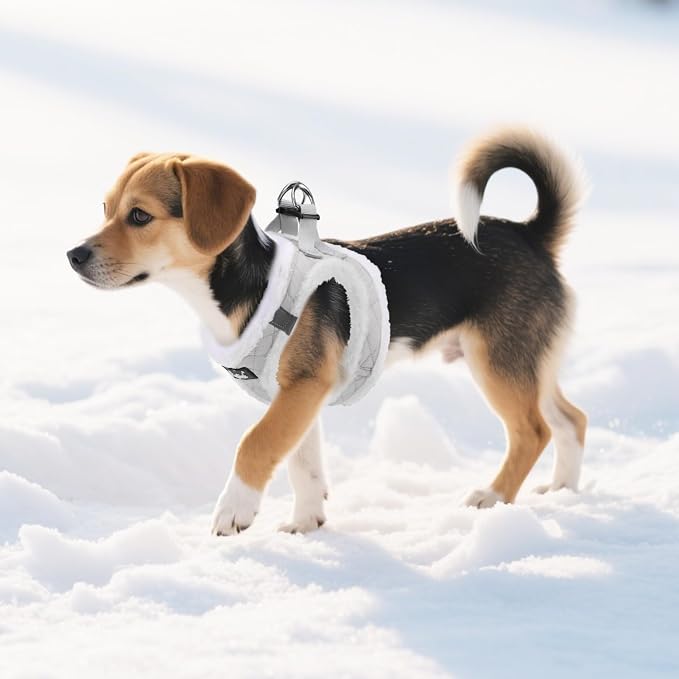 PUPTECK Plush Dog Harness and Leash Set - Image 7