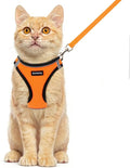 Rttochfy Cat Harness and Leash Set, Escape Proof Kitten Harness, Soft and by Rttochfy